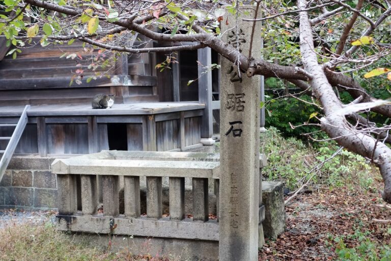 駅長、驚くなかれ。時の変わり改まるを。 | 紀行歴史遊学